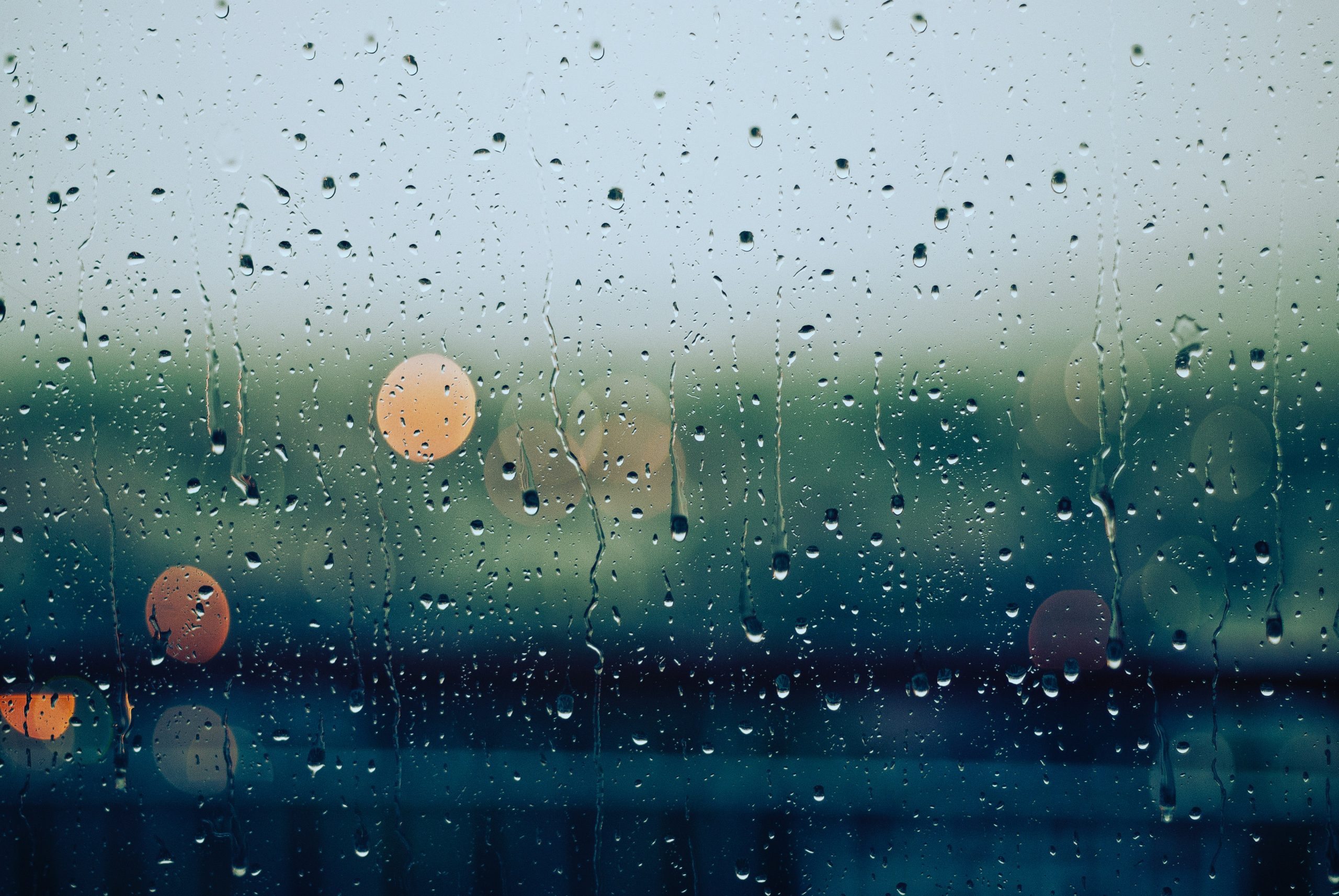 What to do when it's raining in Amsterdam - sarahs tours